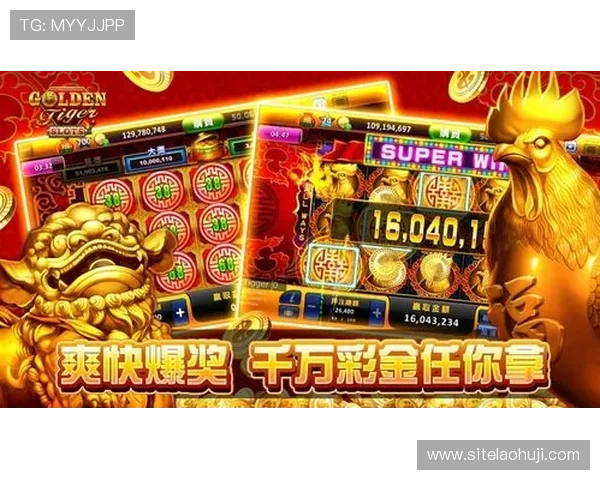 老虎机真人平台如何选择？新手玩家必备的实用指南与技巧